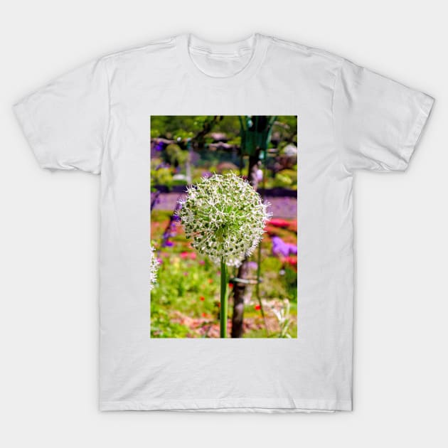 Getty Museum Gardens Study 7 T-Shirt by bobmeyers